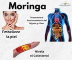 Tratamiento de Moringa