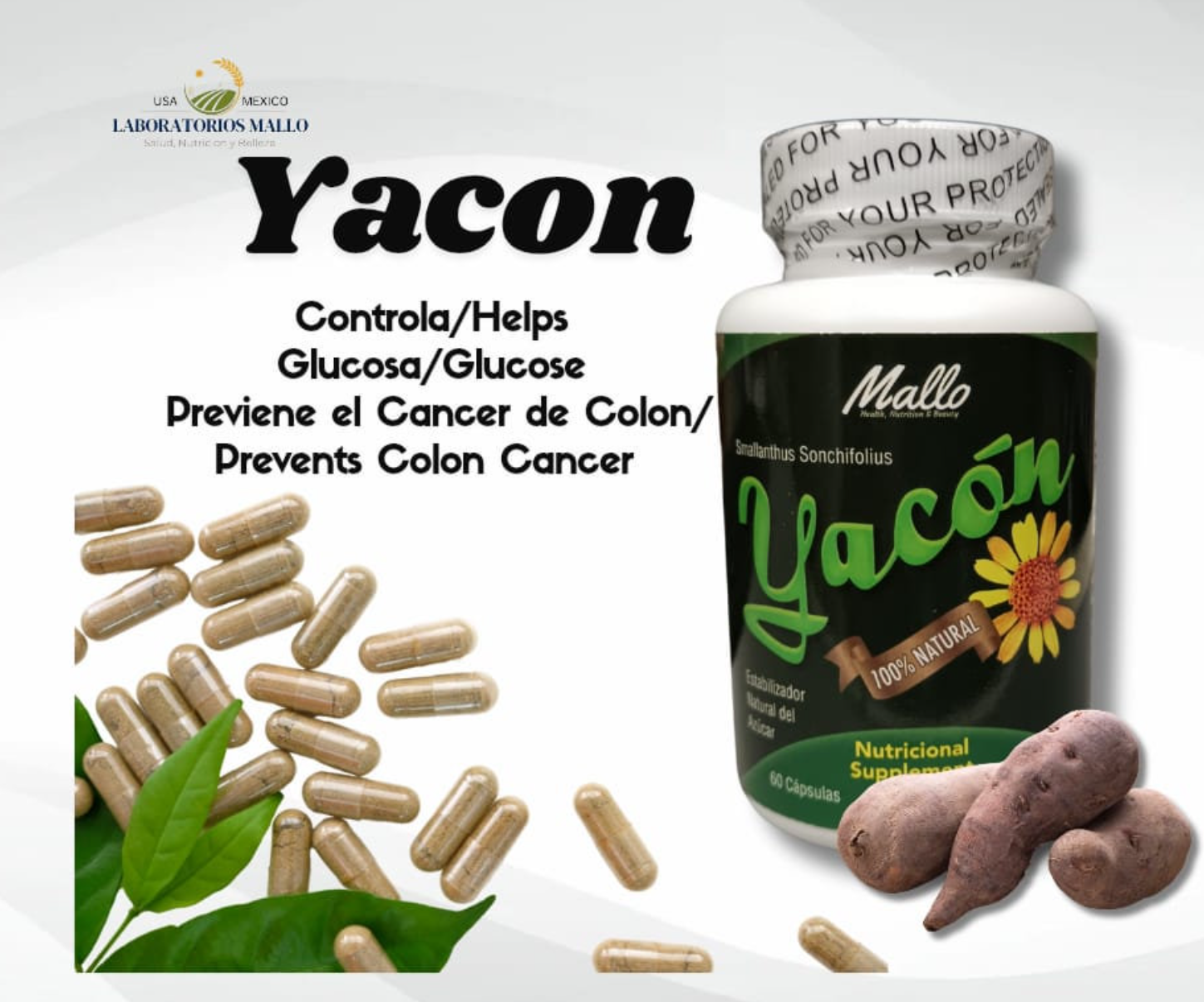 Tratamiento Yacon de peru